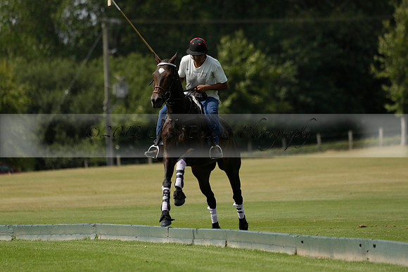 Cowdray Vikings v Enigma in a Bloom British Ladies Open Championship Polo match 2013.07.17