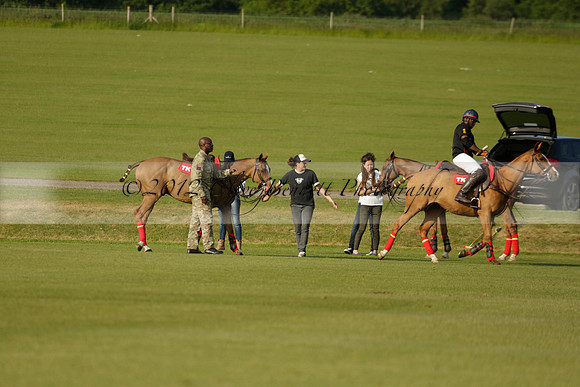 Shoreline v Cowdray Vikings in a Easebourne Cup Semi-final Polo match 2013.06.07