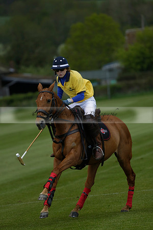 Las Estrellas v Shoreline in a May 4 Goal Spring Cup Polo match 2013.05.15