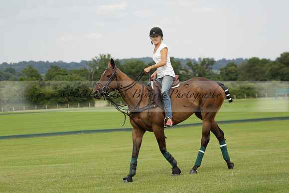 Beau Design v Boscom in an August Rother Cup 4 goal polo match at Cowdray Park Polo Club on Wednesday 07 August 2013