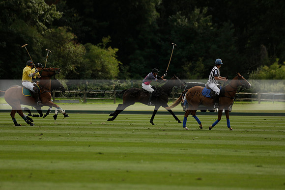 La Tremenda (lilac) v Maiz Dulce (yellow) in a Brecknock Cup polo match played on Lawns 1 at the Cowdray Park Polo Club on Tuesday 13 August 2013