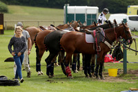 Beau Design v Boscom in an August Rother Cup 4 goal polo match at Cowdray Park Polo Club on Wednesday 07 August 2013