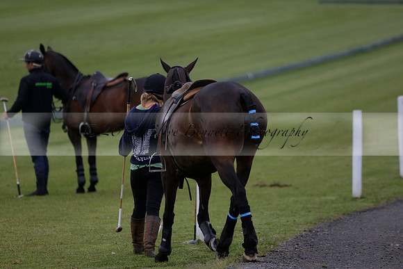 Burningfold v Combe Place in a June 4 Goal Cup polo match 2013.06.11