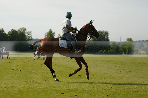 Shoreline v Cowdray Vikings in a Easebourne Cup Semi-final Polo match 2013.06.07