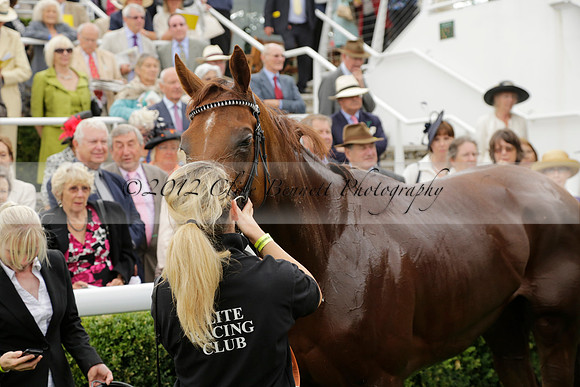 Race 6 Goodwood The British Stallion Studs Turf Club E.B.F. Fillies Stakes. 20130731. Race winner Ribbons owner Elite Racing Club