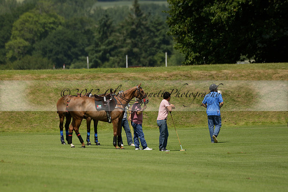 UAE Polo v El Remanso in a Veuve Clicquot Gold Cup Polo Match 2013.07.05