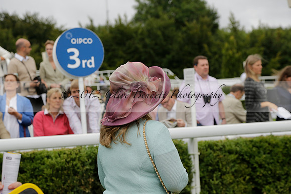 Race 6 Goodwood The British Stallion Studs Turf Club E.B.F. Fillies Stakes. 20130731. Race winner Ribbons owner Elite Racing Club