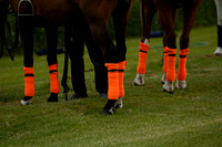 Maiz Dulce v Four Quarters Black in a Benson Cup Polo match 2013.06.19