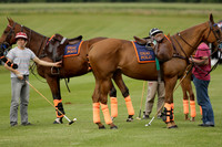 Enigma v Thai Polo in a Veuve Clicquot Gold Cup Polo Match 2013.06.25