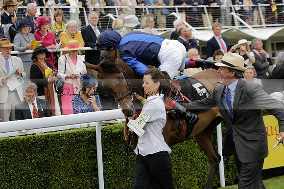 Race 6 Goodwood The British Stallion Studs Turf Club E.B.F. Fillies Stakes. 20130731. Race winner Ribbons owner Elite Racing Club