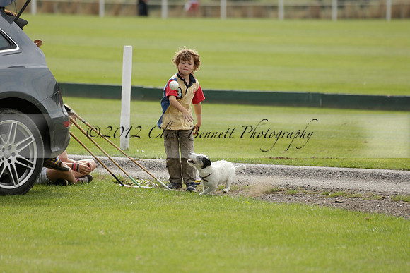 Beau Design v Boscom in an August Rother Cup 4 goal polo match at Cowdray Park Polo Club on Wednesday 07 August 2013