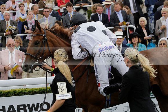Race 6 Goodwood The British Stallion Studs Turf Club E.B.F. Fillies Stakes. 20130731. Race winner Ribbons owner Elite Racing Club