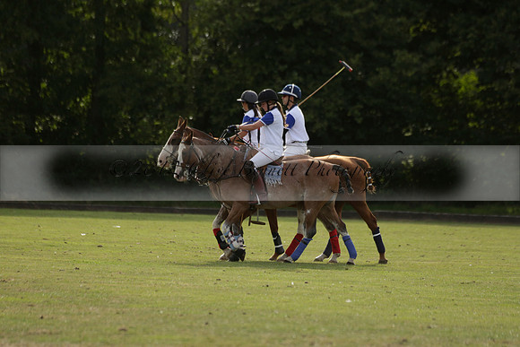 Thumos v Putney Architects in the -4 Goal Final at The Pro-Am City Polo Championships on Sunday 1 September 2013 at Ascot Park Polo Club. www.polopictures.co.uk