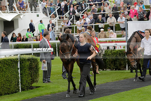 Race 6 Goodwood The British Stallion Studs Turf Club E.B.F. Fillies Stakes. 20130731. Race winner Ribbons owner Elite Racing Club