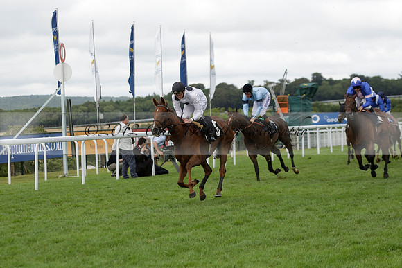 Race 6 Goodwood The British Stallion Studs Turf Club E.B.F. Fillies Stakes. 20130731. Race winner Ribbons owner Elite Racing Club