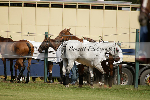 Zacara v Les Lions in a Veuve Clicquot Gold Cup Polo Match 2013.07.06