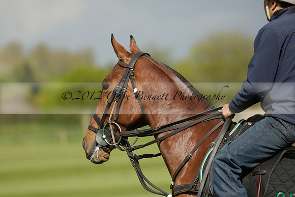 Creed Polo v Clashleigh in a Dollar Cup Polo match 2013.05.15
