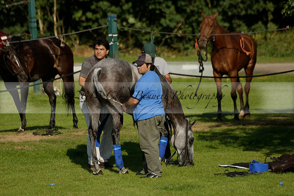 El Remanso v Emlor in a Veuve Clicquot Gold Cup Polo Match 2013.06.30