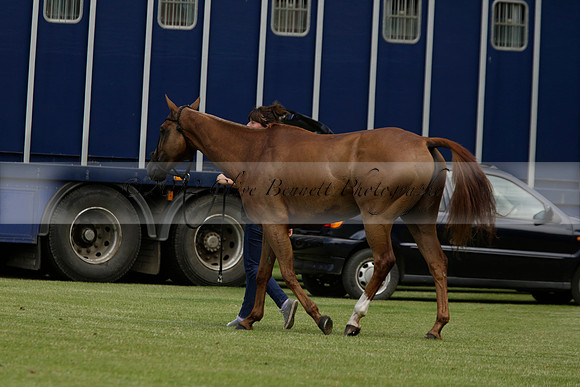Dubai v La Bamba de Areco in a Veuve Clicquot Gold Cup Polo Match 2013.07.04
