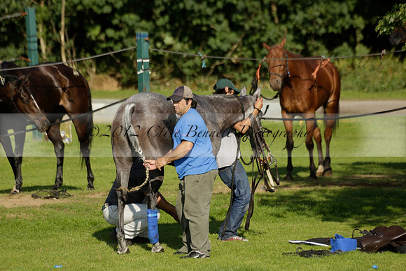 El Remanso v Emlor in a Veuve Clicquot Gold Cup Polo Match 2013.06.30