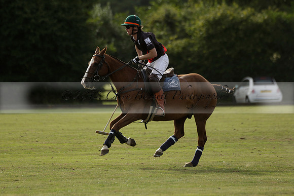 Thumos v Putney Architects in the -4 Goal Final at The Pro-Am City Polo Championships on Sunday 1 September 2013 at Ascot Park Polo Club. www.polopictures.co.uk