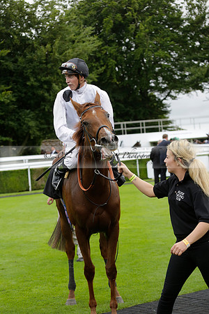 Race 6 Goodwood The British Stallion Studs Turf Club E.B.F. Fillies Stakes. 20130731. Race winner Ribbons owner Elite Racing Club