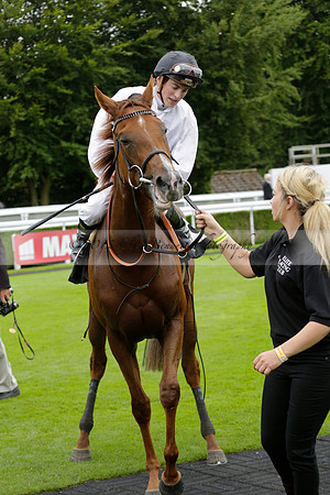 Race 6 Goodwood The British Stallion Studs Turf Club E.B.F. Fillies Stakes. 20130731. Race winner Ribbons owner Elite Racing Club