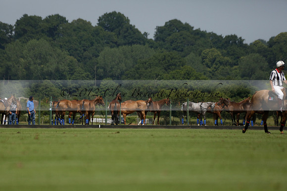 UAE Polo v El Remanso in a Veuve Clicquot Gold Cup Polo Match 2013.07.05