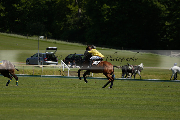 Maiz Dulce v Pluma Negra in a Jubilee 6 Goal Polo match 2013.05.27