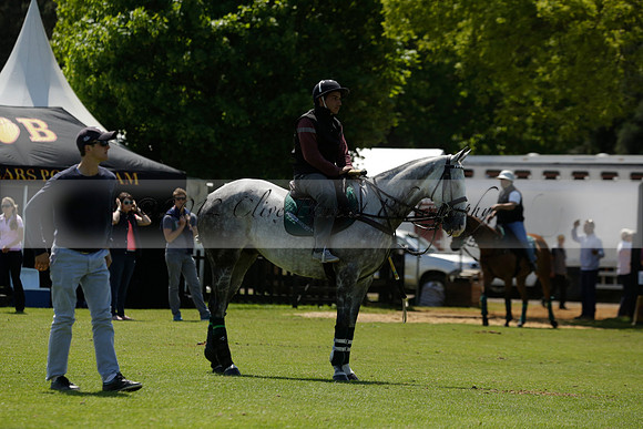 Black Bears v Salkeld in a Cartier Queens Cup polo match 2013.06.05