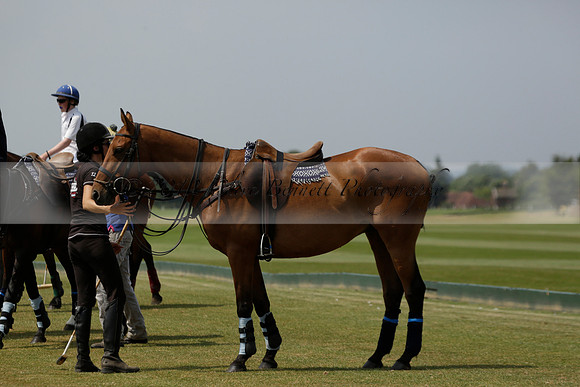Silver Fox v Wintershall in a July 4 Goal Polo match 2013.07.17