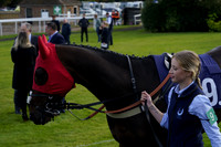 Race 6 The Betgoodwin Best Odds Guranteed Handicap Hurdle Race (Div I) 2024.10.04