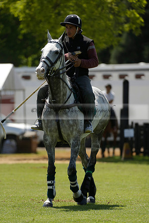 Black Bears v Salkeld in a Cartier Queens Cup polo match 2013.06.05