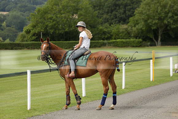 Beau Design v Boscom in an August Rother Cup 4 goal polo match at Cowdray Park Polo Club on Wednesday 07 August 2013