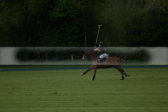 Las Estrellas v Shoreline in a May 4 Goal Spring Cup Polo match 2013.05.15