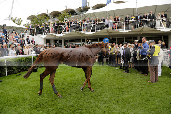 Race 6 Goodwood The British Stallion Studs Turf Club E.B.F. Fillies Stakes. 20130731. Race winner Ribbons owner Elite Racing Club