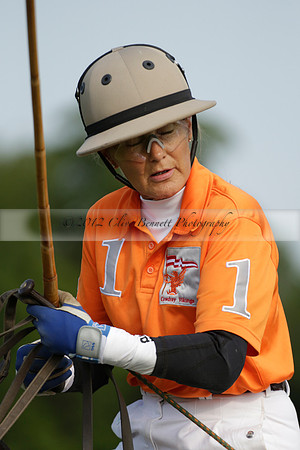 Shoreline v Cowdray Vikings in a Easebourne Cup Semi-final Polo match 2013.06.07