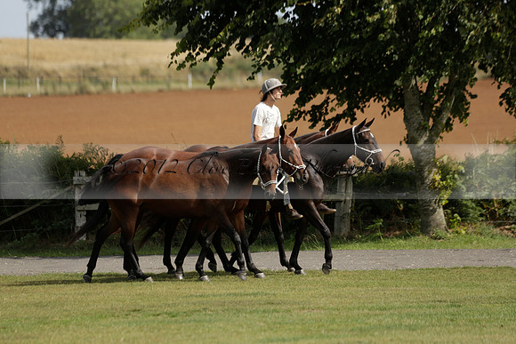 Maiz Dulce (green) v River (blue) in a Uber Polo Midsummer 12 goal polo match on Wednesday 21 August 2013 at Cowdray park Polo Club on Ambersham 2.  www.polopictures.co.uk