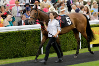 Race 6 Goodwood The British Stallion Studs Turf Club E.B.F. Fillies Stakes. 20130731. Race winner Ribbons owner Elite Racing Club