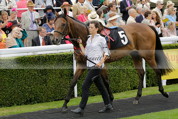 Race 6 Goodwood The British Stallion Studs Turf Club E.B.F. Fillies Stakes. 20130731. Race winner Ribbons owner Elite Racing Club