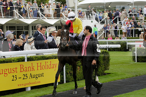 Race 6 Goodwood The British Stallion Studs Turf Club E.B.F. Fillies Stakes. 20130731. Race winner Ribbons owner Elite Racing Club
