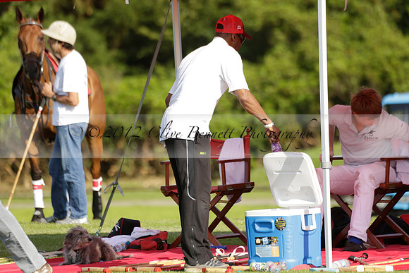 El Remanso v Emlor in a Veuve Clicquot Gold Cup Polo Match 2013.06.30