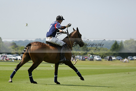 Zacara v Les Lions in a Veuve Clicquot Gold Cup Polo Match 2013.07.06
