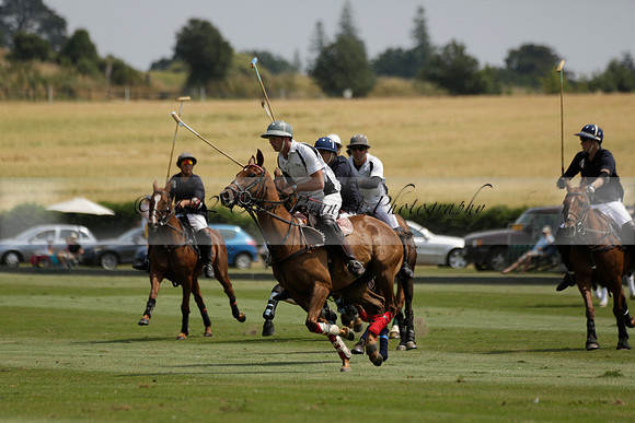 Silver Fox v Wintershall in a July 4 Goal Polo match 2013.07.17