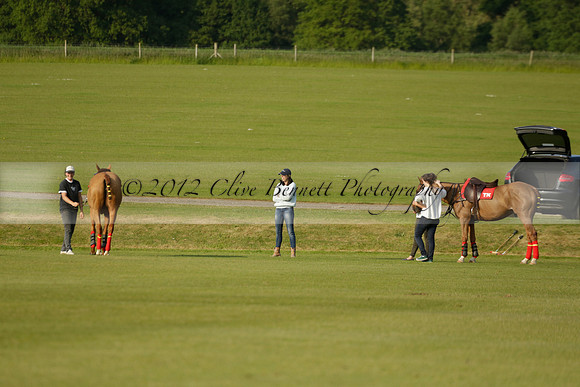 Shoreline v Cowdray Vikings in a Easebourne Cup Semi-final Polo match 2013.06.07