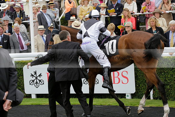 Race 6 Goodwood The British Stallion Studs Turf Club E.B.F. Fillies Stakes. 20130731. Race winner Ribbons owner Elite Racing Club