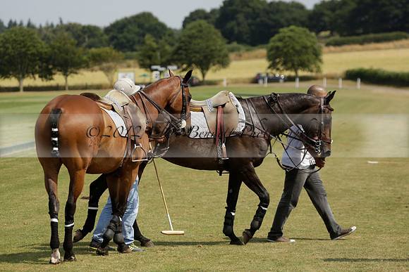 Cowdray Vikings v Enigma in a Bloom British Ladies Open Championship Polo match 2013.07.17