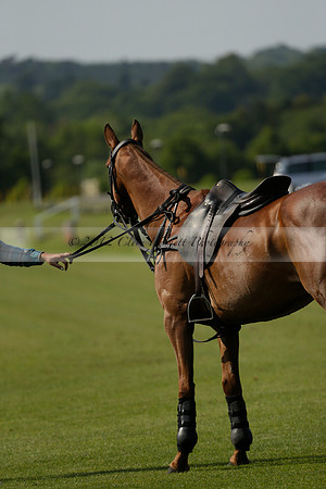 Lost Boys Cowdray Vikings in the Jaeger Le Coultre Duke of Sutherland Cup Subsidiary Final Polo match 2013.06.06