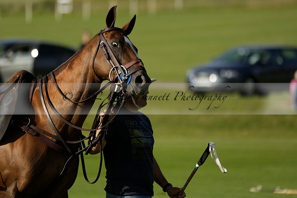 El Remanso v Emlor in a Veuve Clicquot Gold Cup Polo Match 2013.06.30