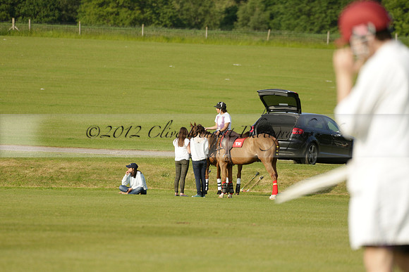 Shoreline v Cowdray Vikings in a Easebourne Cup Semi-final Polo match 2013.06.07